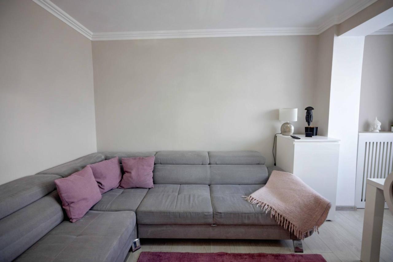 Joyful Apartment Τιμισοάρα Εξωτερικό φωτογραφία